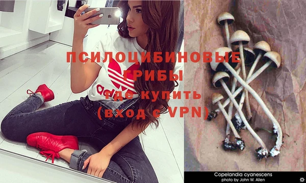 a pvp Арсеньев
