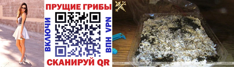 Псилоцибиновые грибы Magic Shrooms  Урай 